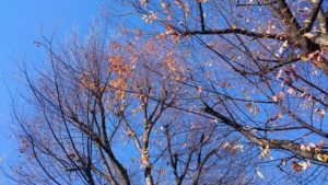 女なしでは幸せになれない男