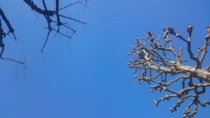 大事なのは、誰を見て仕事をするか　ある外資系で昇給を勝ち取ったワーママの話