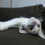 非公開: いちばん簡単な『寝ていてもお金が増える方法』