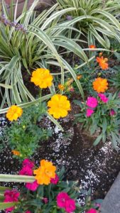 洋服やアクセサリー選びは【プロ】の力を借りるに限る