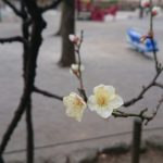 結婚を継続するための【コツ】