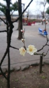 結婚を継続するための【コツ】