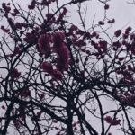 夫婦間の誕生日プレゼントに必要なのは・・・