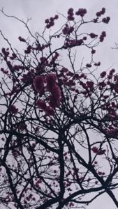 夫婦間の誕生日プレゼントに必要なのは・・・