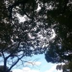 『女性の生き方に選択肢が増えた』ってやっぱり絶対ウソ