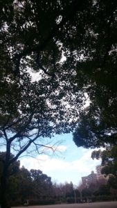 『女性の生き方に選択肢が増えた』ってやっぱり絶対ウソ