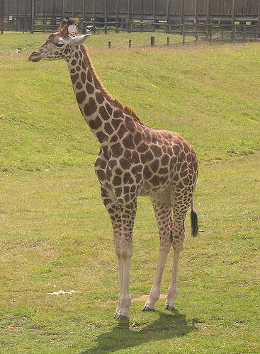 お金が貯まる秘訣