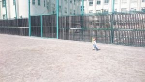 雨上がりの公園で、私の目指すビジネス像を見た
