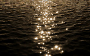 禅問答のような「なんで？」攻撃の攻防戦の中に、子育ての真髄を見た気がしました