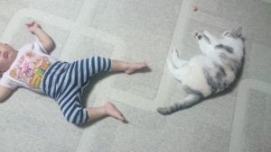 【ハグ】や【抱っこ】より