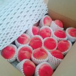 逃げるなー、お金も逃げちゃうぞー