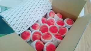 逃げるなー、お金も逃げちゃうぞー