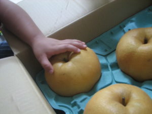 いろんな家庭の『ふるさと納税』の形