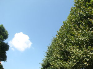 私たち母親には、こんな自由さえ無い。