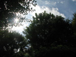 朝起こしても起きない夫に纏わる考察②～本当の優しさとは・・・