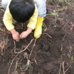 億劫だったけど都会っ子たちを連れて行ってよかった