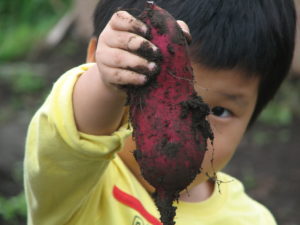 いまのところ最強~【泥汚れ】を落とす方法~