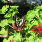 羊水検査を実際に受けてみて思うこと