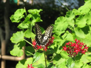 母なる○○～長男の八つ当たりを受け止める