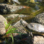 夫の【週末】に関する私の考え②付き合い編