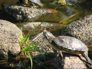 夫の【週末】に関する私の考え②付き合い編