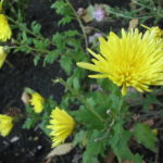 【会員限定】夫の『とりあえず言ってみた』が意外に傷つく件