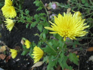 【会員限定】夫の『とりあえず言ってみた』が意外に傷つく件