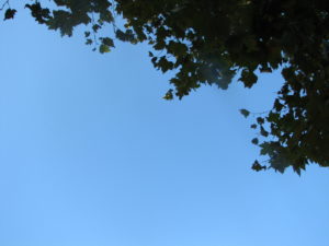 【iDeco－確定拠出年金－】結局のところ得なのか、そして受取は？