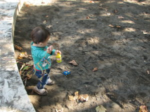 熾烈な兄弟ゲンカ 細部に至るまで注意を怠るべからず