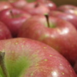 【ふるさと納税】注意点～からの、決意表明（なんでいま？）