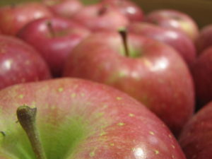 【ふるさと納税】注意点～からの、決意表明（なんでいま？）