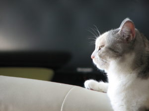 『メール術』って確かに誰も教えてくれない。私の特技おしえちゃう