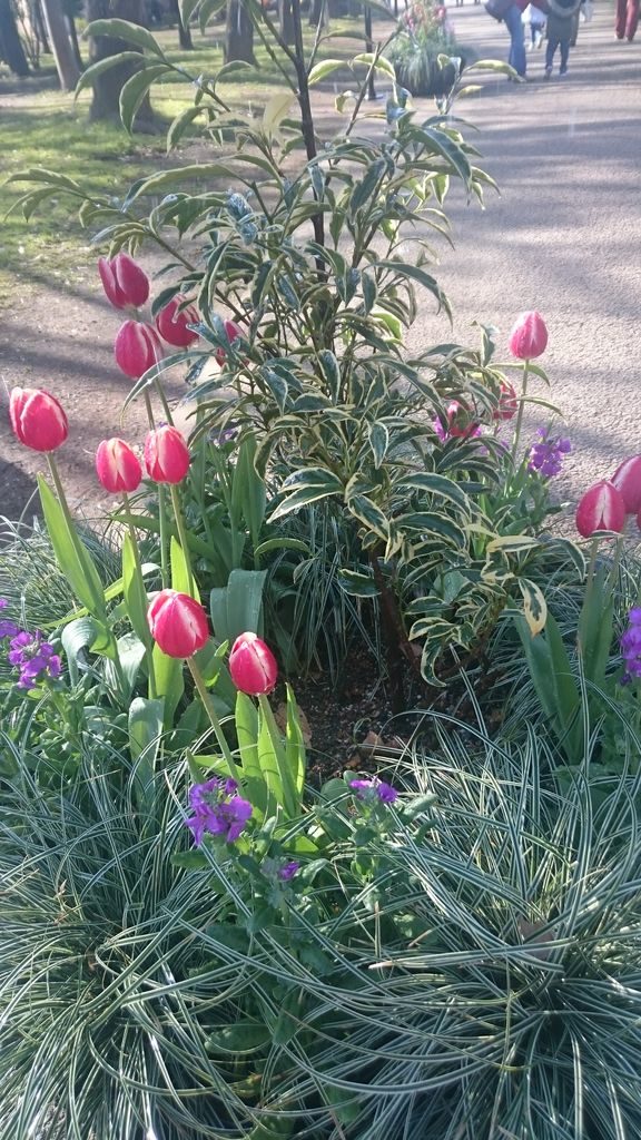 ふなばしアンデルセン公園