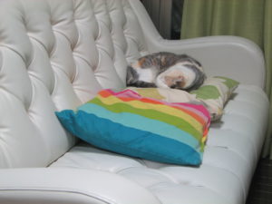 オシャレ部屋への険しい道のり クッション編