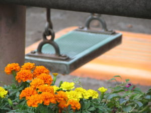 鈍感な夫に大切にされた私