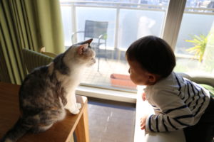 【母乳神話】に追い詰められる女たち