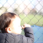 誰が辞めても会社は回る　そして、経理の彼がタイプです