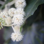 周りに気を使いすぎると裏目に出る