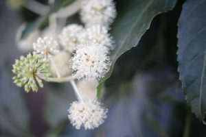 周りに気を使いすぎると裏目に出る