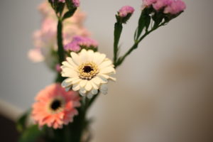 人生に大きな違いをもたらすたったひとつのこと