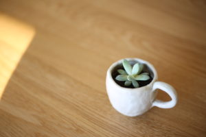 確定申告のススメ／無知で馬鹿な納税マシーンになっていませんか？