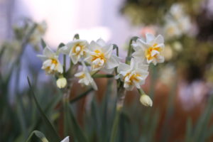 退職を決めたら、どうも上司に気に入られたようです。