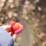 「はちみつ離乳食」事件から得た教訓～意地や遠慮で取り返しのつかないことになる