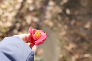 「はちみつ離乳食」事件から得た教訓～意地や遠慮で取り返しのつかないことになる