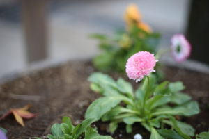 限られた時間を有効に使うためには、頭の中をコントロールすべし！