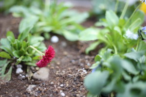 頑張って捻出する時間も奪われてしまうのか…