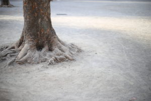 私が苦手なもの『公園でひとりの・・・』
