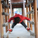 あの保険だけは入っておいたほうがいいかもしれない・・・