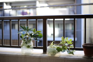 どこまでやれば気が済むのか【愛の証明】