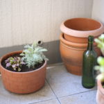 【プライスレス】な買い物がもうひとつありましたｗｗｗ